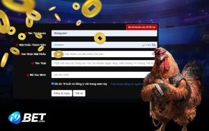 6 Bước tham gia trực tiếp đá gà Thôm i9bet